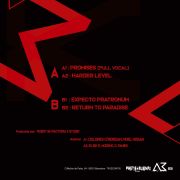 Vinilo Promises